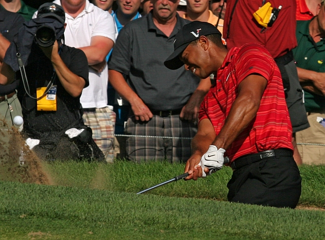 tiger out of rough